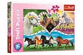 Trefl Puzzle Krásní koně / 200 dílků