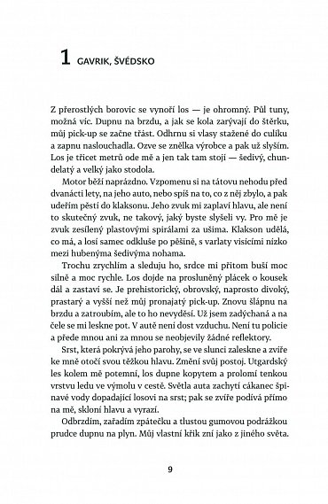Náhled Temné sosny
