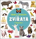 Zvířata - Hledej v obrázcích