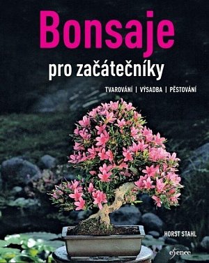 Bonsaje pro začátečníky