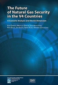 The Future of Natural Gas Security in the V4 Countries: A Scenario Analysis and the EU Dimension
