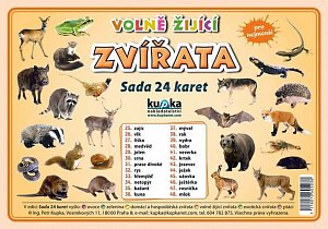 Volně žijící zvířata - Sada 24 karet