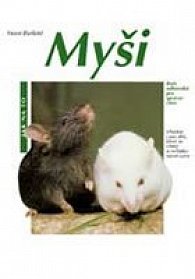 Myši - Jak na to