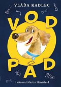 Vodopád
