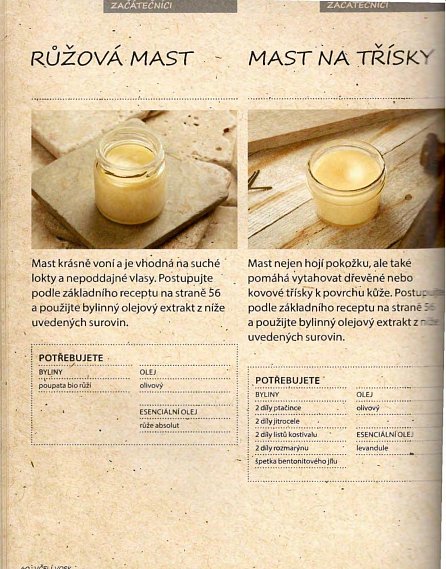 Náhled Včelí vosk - Jak si vyrobit domácí svíčky, mýdla, balzámy, krémy či peelingy