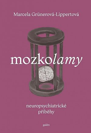 Mozkolamy. Neuropsychiatrické příběhy