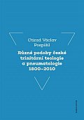 Různé podoby české trinitární teologie a pneumatologie 1800–2010