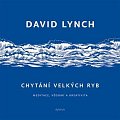Chytání velkých ryb - Meditace, vědomí a kreativita