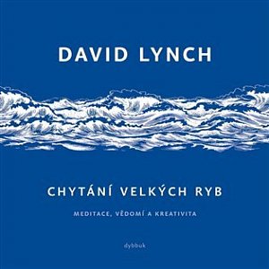 Chytání velkých ryb - Meditace, vědomí a kreativita