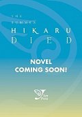 The Summer Hikaru Died (light novel)