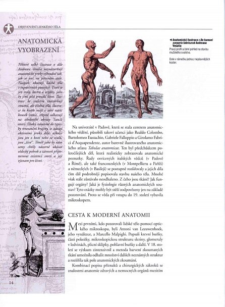 Náhled Anatomie - Ilustrovaný atlas