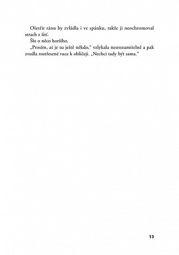Náhled Ztracené střípky