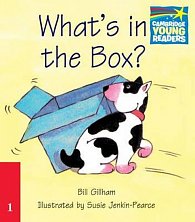 Camb Storybooks 1: What´s in the Box?: B