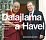 Dalajlama a Havel - Česko-tibetské vztahy na pozadí výjimečného přátelství