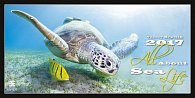 Kalendář nástěnný 2017 - All About Sea Life/Exclusive