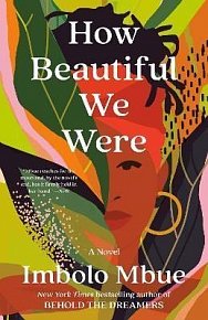 How Beautiful We Were : A Novel