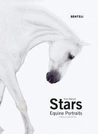 Stars: Equine Portraits