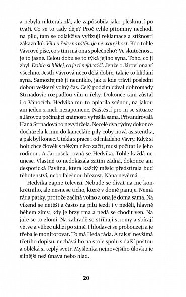 Náhled Před povodní