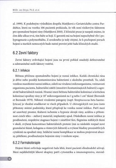 Náhled Repetitorium hojení ran 2