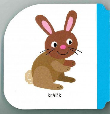 Náhled Zvířátka - Malá káčátka