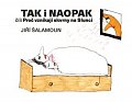 Tak i naopak čili Proč vznikají skvrny na Slunci