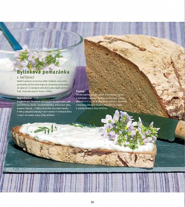 Náhled Divoké rostliny - Lahodné recepty, jedlé dekorace a nápady na dárky
