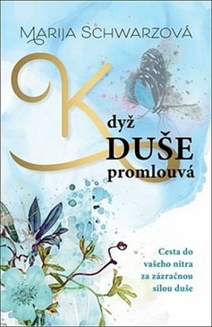 Duše k tobě promlouvá - Cesta do vašeho nitra za zázračnou silou duše