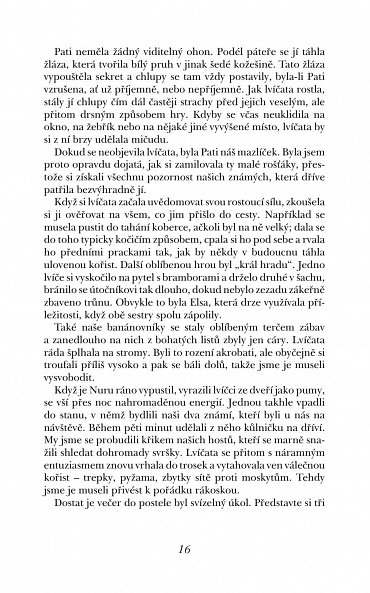 Náhled Příběh lvice Elsy
