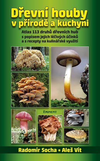 Levně Dřevní houby v přírodě a kuchyni - Radomír Socha