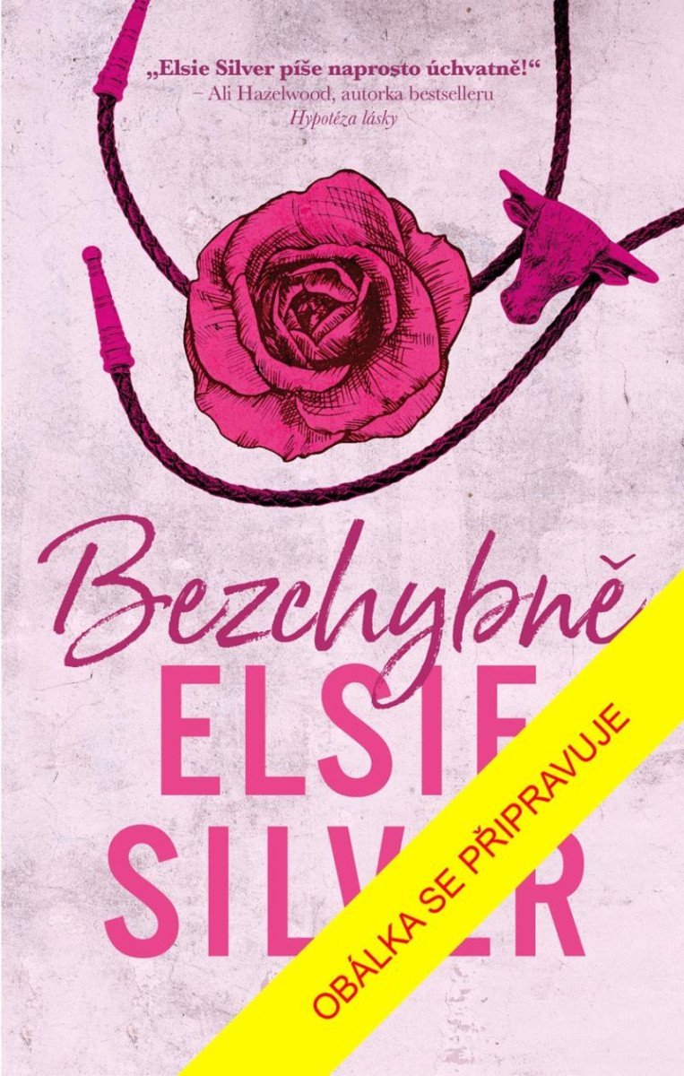 Levně Bezchybně - Elsie Silver