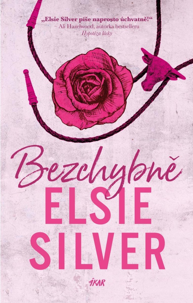 Levně Bezchybně - Elsie Silver