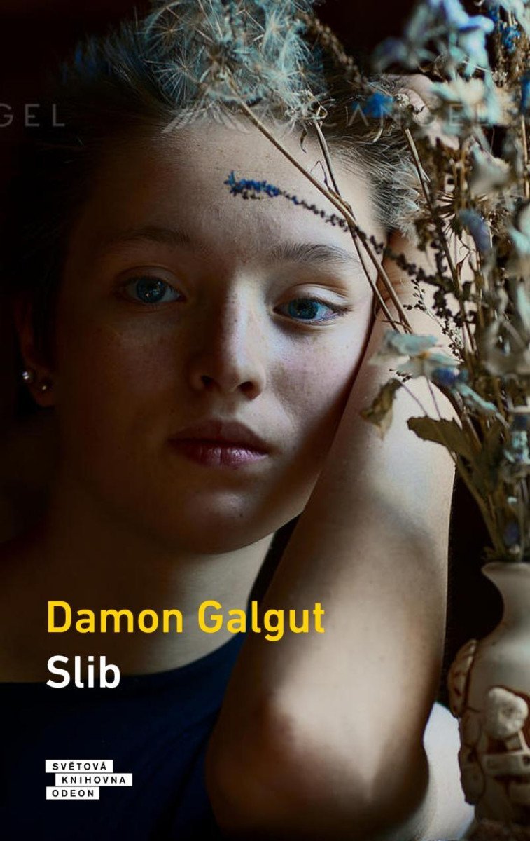 Slib, 1. vydání - Damon Galgut
