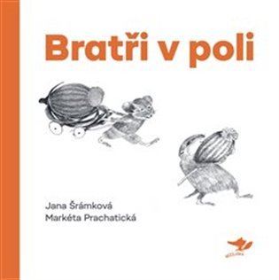 Levně Bratři v poli, 2. vydání - Jana Šrámková