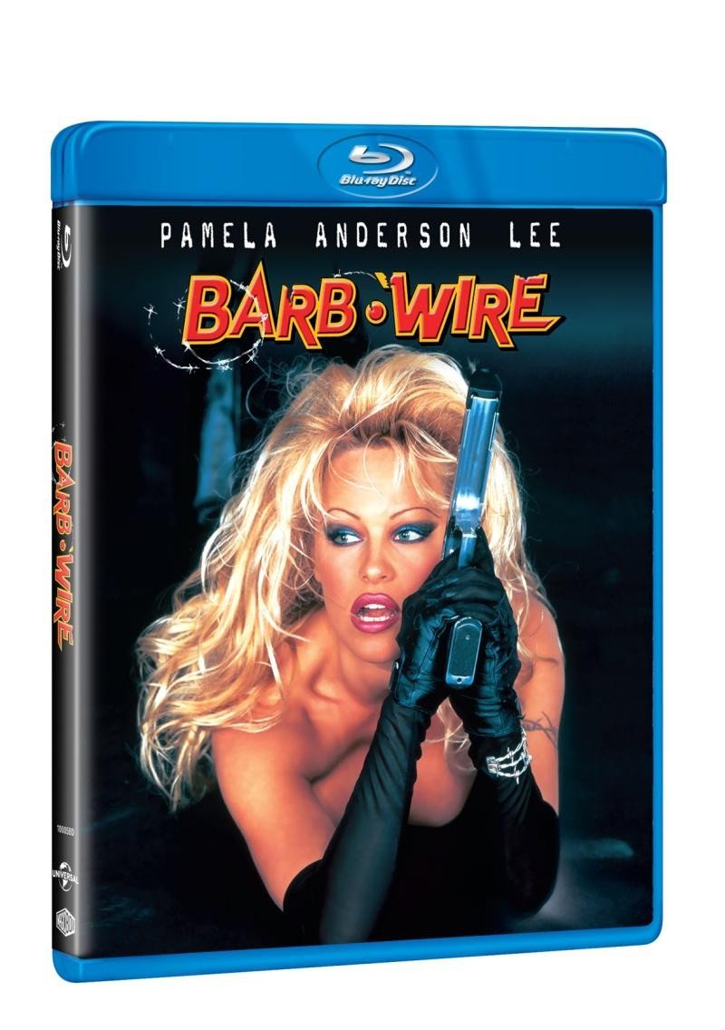 Product detail of Barb Wire BD
