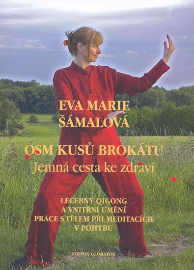 Levně Osm kusů brokátu - Jemná cesta ke zdraví - Eva Marie Šámalová