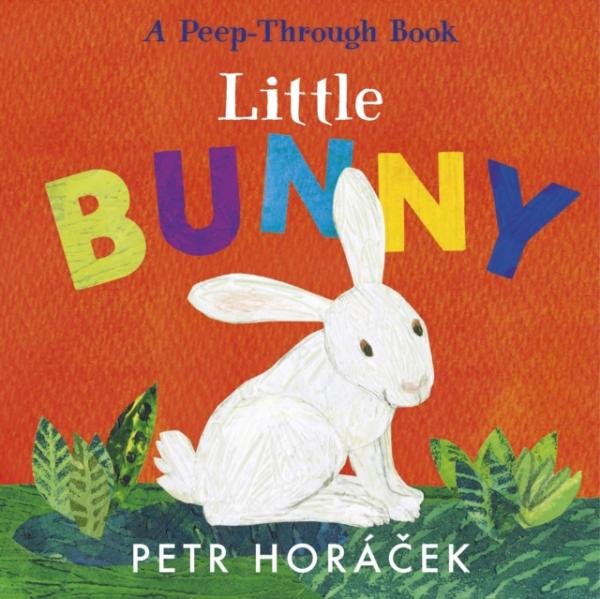 Levně Little Bunny - Petr Horáček