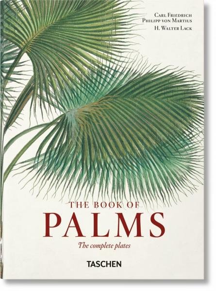 Levně Martius. The Book of Palms. 40th Anniversary Edition - Hans Walter Lack