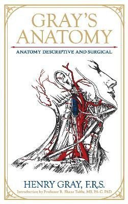 Levně Gray´s Anatomy: Anatomy Descriptive and Surgical - Henry Gray