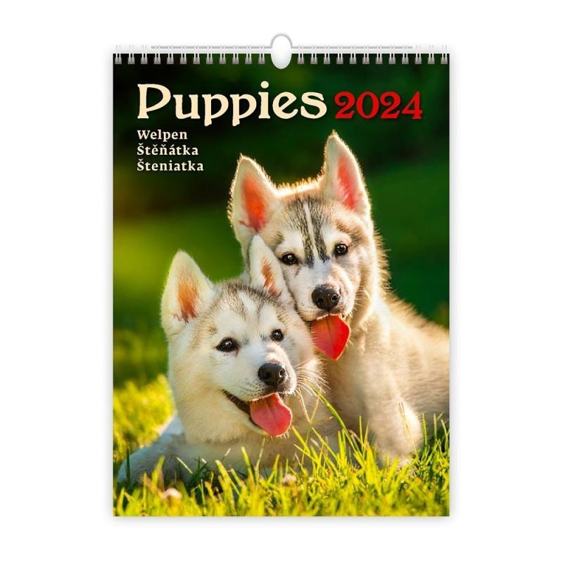 Levně Kalendář nástěnný 2024 - Puppies/Welpen/Štěňátka/Šteniatka