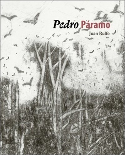 Levně Pedro Páramo - Juan Rulfo