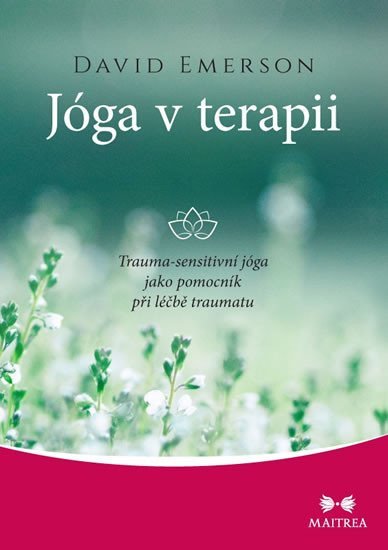 Levně Jóga v terapii - Trauma-sensitivní jóga jako pomocník při léčbě traumatu - David Emerson