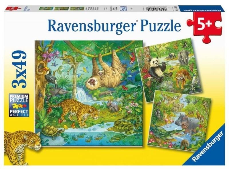 Levně Ravensburger Puzzle Zvířata v džungli 3x49 dílků