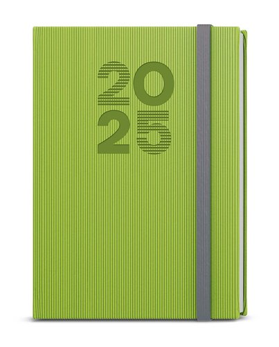Levně Denní diář 2025 David Vigo A5 zelená