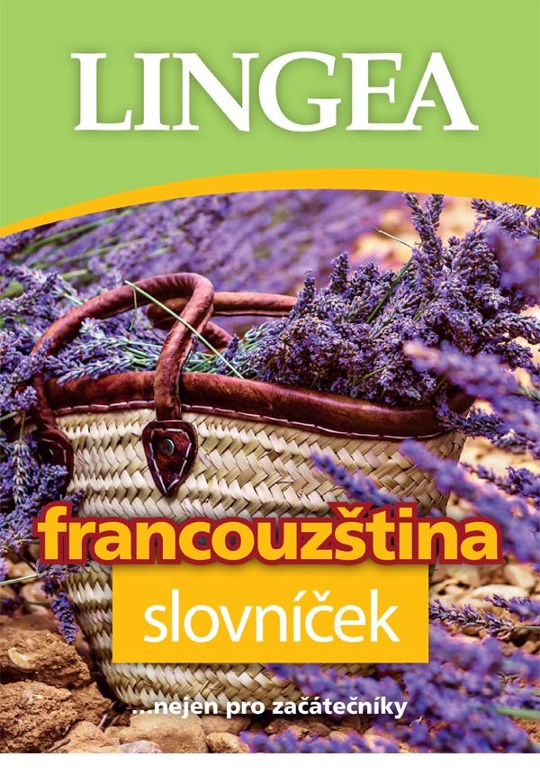 Francouzština slovníček, 2. vydání - kolektiv autorů