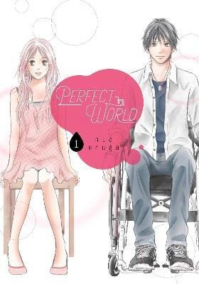 Levně Perfect World 1 - Rie Aruga