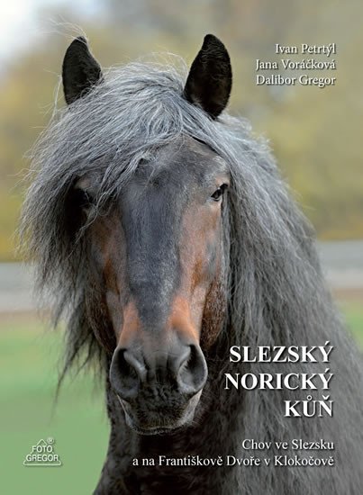 Levně Slezský norický kůň - Chov ve Slezsku a na Františkově Dvoře v Klokočově - Dalibor Gregor
