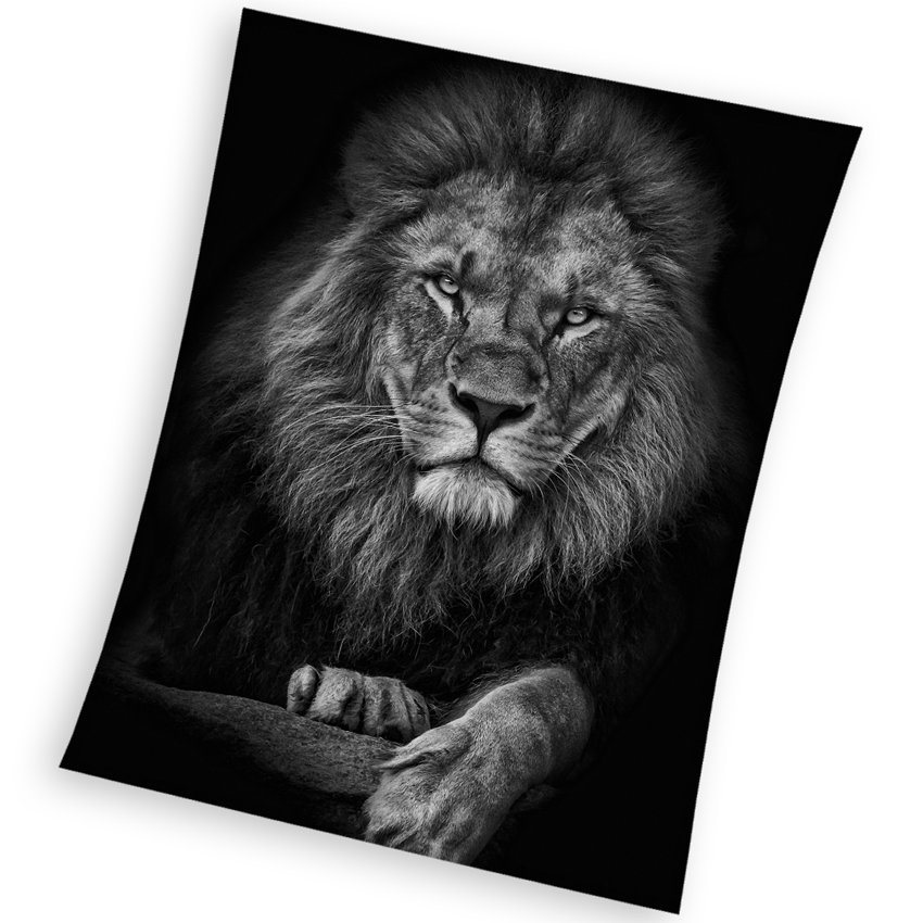 Levně Mikroplyšová deka Lev Král Zvířat 150x200 cm