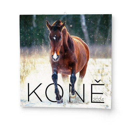 Levně Koně 2024 - nástěnný kalendář