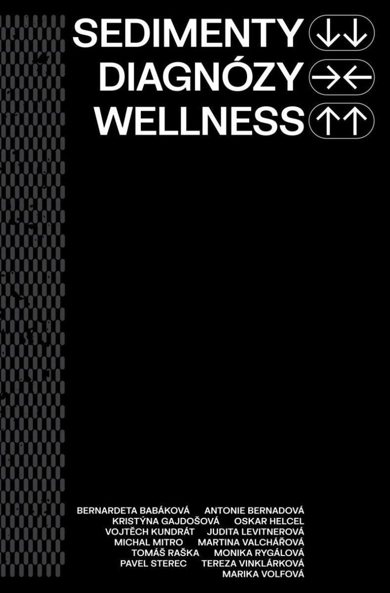 Sedimenty diagnózy wellness - autorů kolektiv