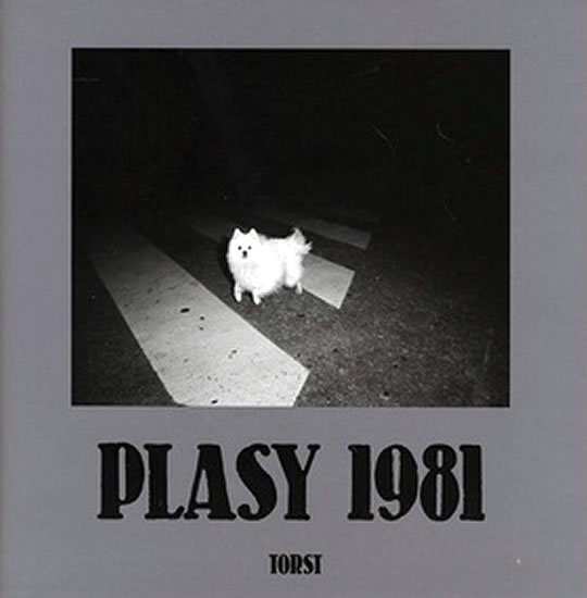 Levně Plasy 1981
